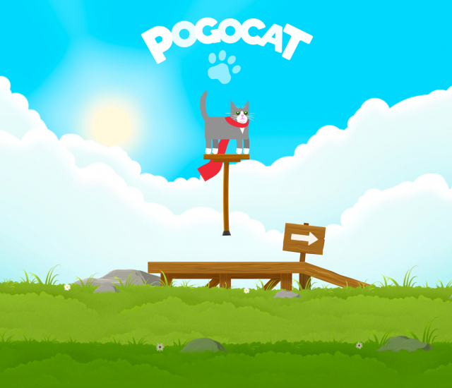 Pogocat